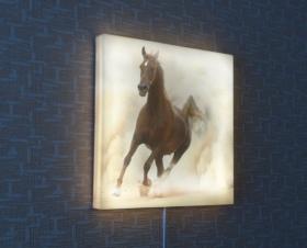  LED Ночник-картина "Конь" 50х50см